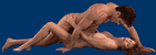 1-140QQ11612M0.gif