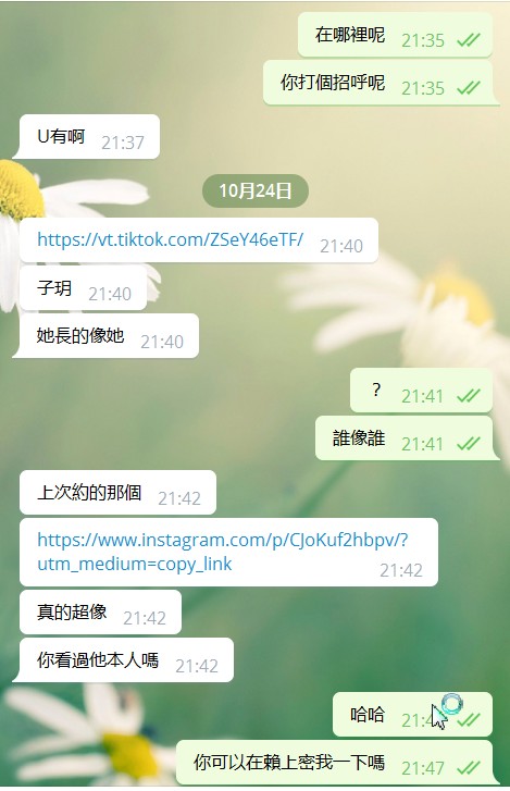 雙飛.jpg