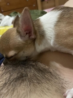 ！！！限制級 點開之前請看身旁有沒有人喔